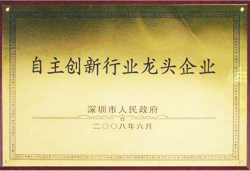 13.2 2008.6深圳市人民政府-自主创新行业龙头企业-
